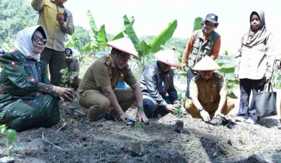 Stabilkan Inflasi, Pj Bupati Donggala Ajak Masyarakat Tanam Cabai Rawit