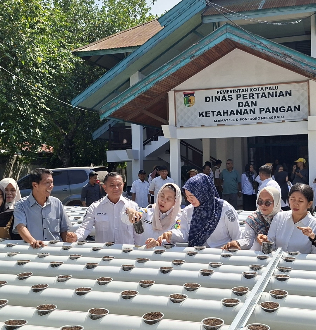 Pelatihan Budidaya Hidroganik oleh DPKP Palu di Tutup